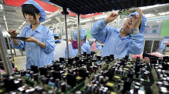 Yedisu Kertenkele İlaçlama